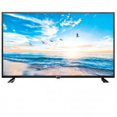 TV VEGA 43" L43F1FBE3 FHD + Récepteur Intégré