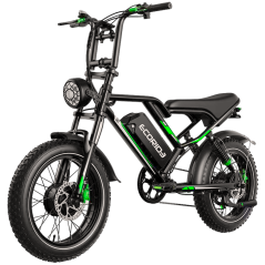 Bicyclette Électrique Ecoride ER2 1000 Watts Noir