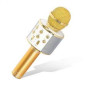 Microphone Sans Fil Handheld ktv WS-858 Noir