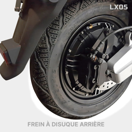 Scooter Électrique LVNENG LX05 Green