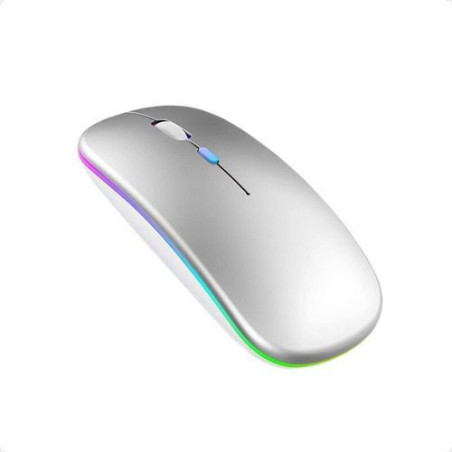 Souris Sans Fil Rechargeable Everest SMW-306R - 1600 DPI, LED Arc-en-Ciel