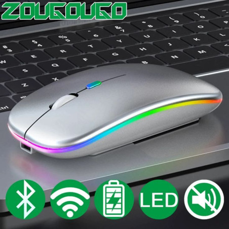 Souris Sans Fil Rechargeable Everest SMW-306R - 1600 DPI, LED Arc-en-Ciel