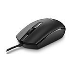 souris